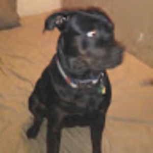 Meet your Posher, Barry